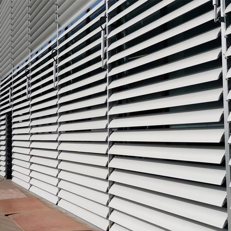 Are Electric Shutter Doors Safe for Home and Business Security?