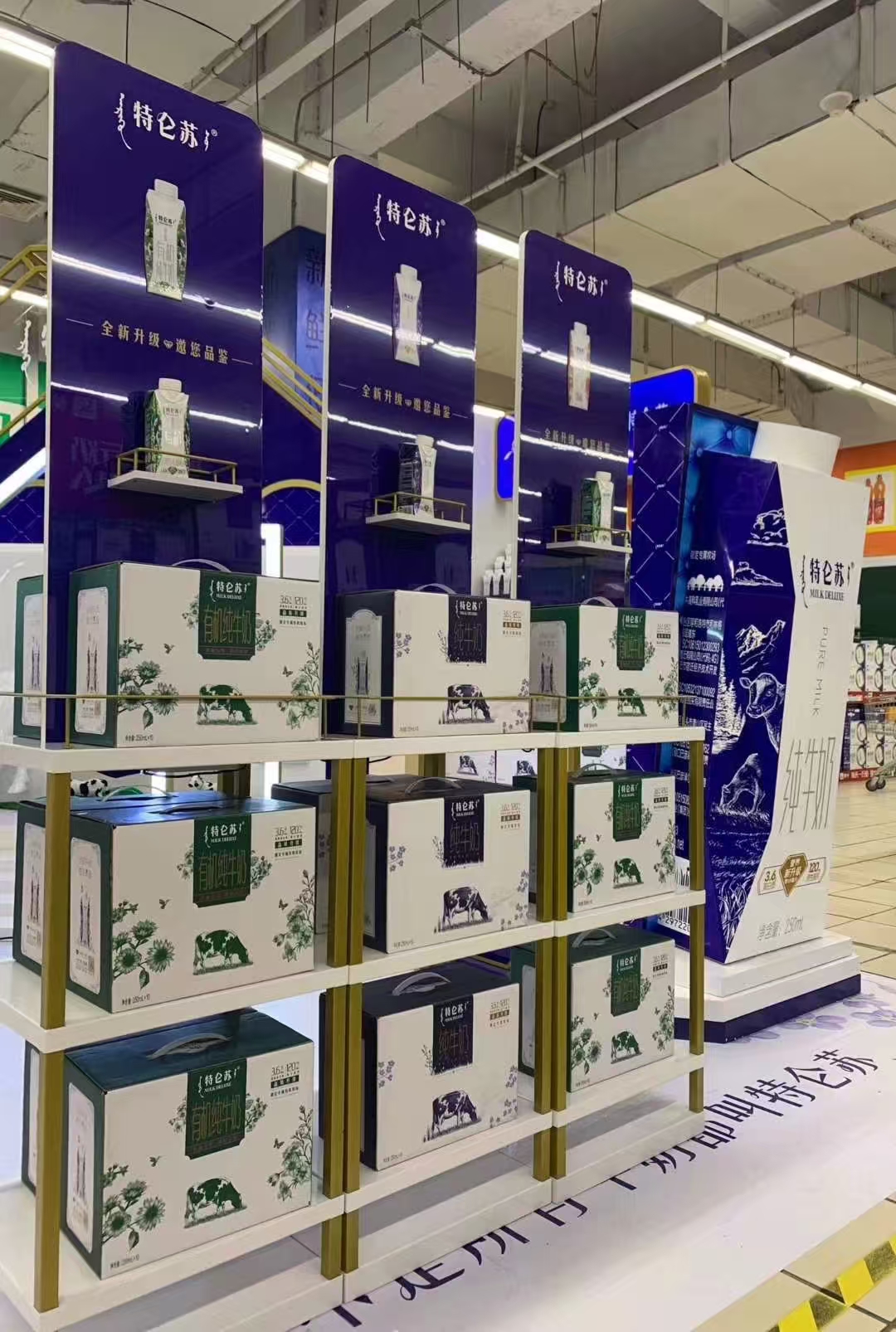 Completed retail activation space featuring coordinated POP displays and premium brand presentation.jpg