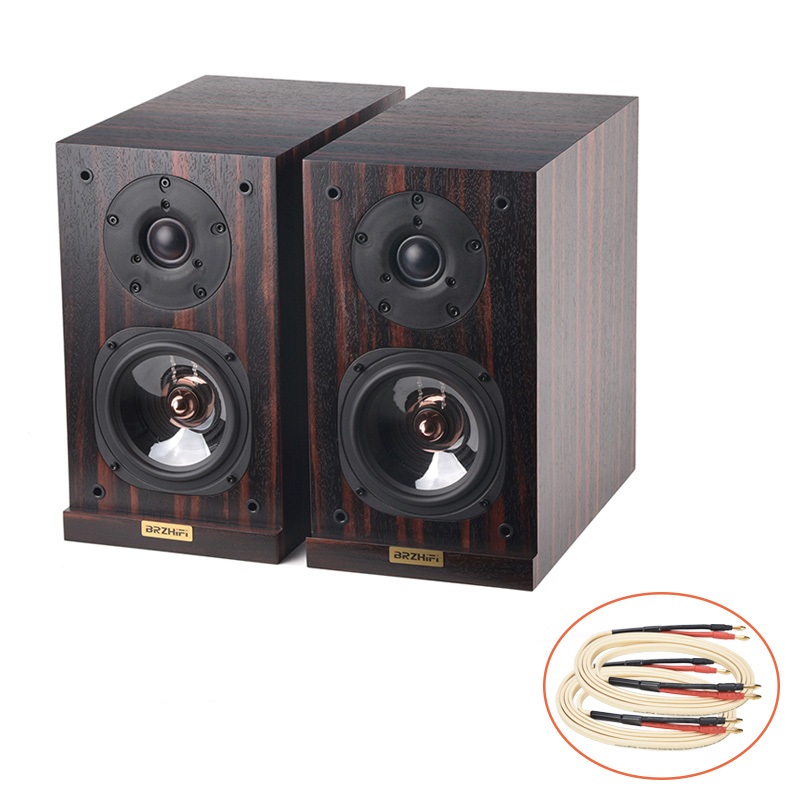 How Do Budget Class D Amplifiers Balance Cost and Output?