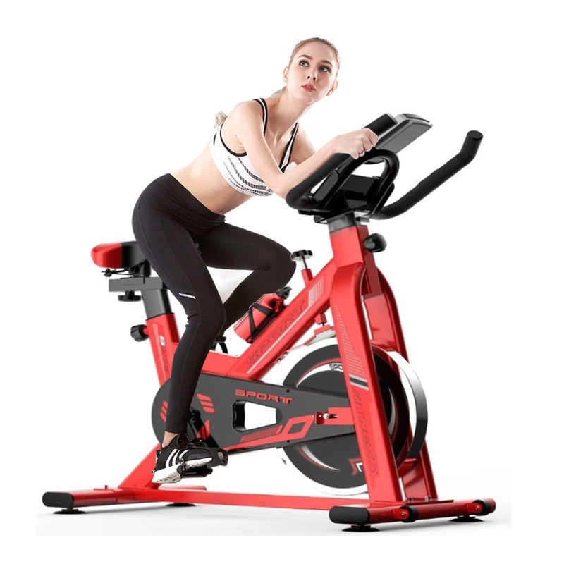 Indoor Fitness Reduce Weight Equipment And Home Silent Cycling Spinning Gym Exercise Spin Bike