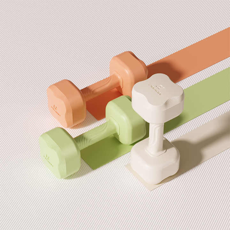 New pre-sale Women Gym weight lifting Home Exercise Sport Dumbbell Set Yoga Fitness Equipment Lose weight cement dumbbell