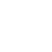 Independent Original Chip