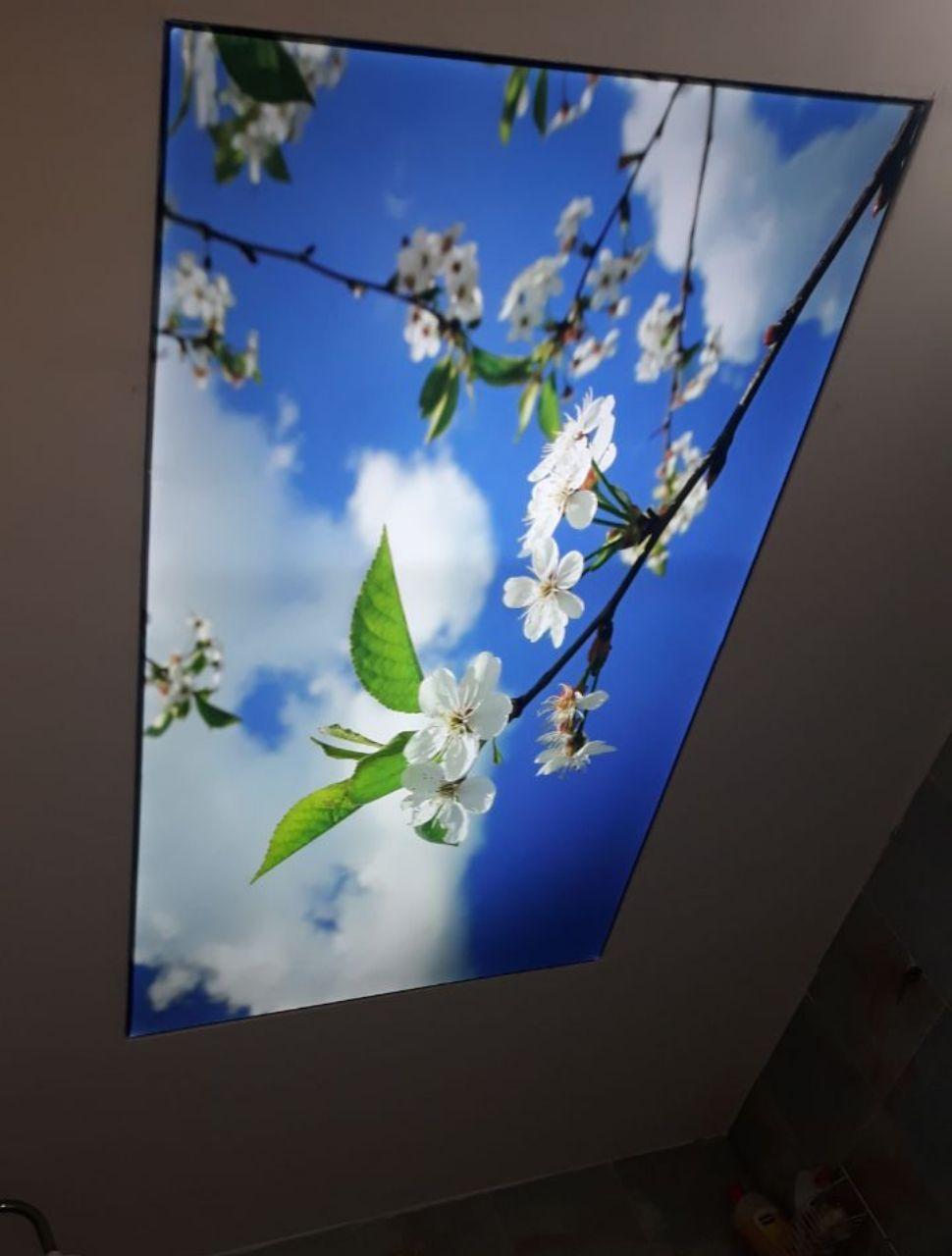 Film de plafond tendu translucide en PVC imprimé en 3D sur mesure pour la décoration intérieure moderne et la conception d’éclairage ambiant