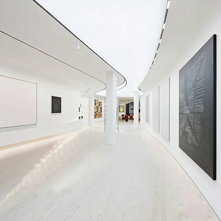 translucent stretch ceiling 1.png