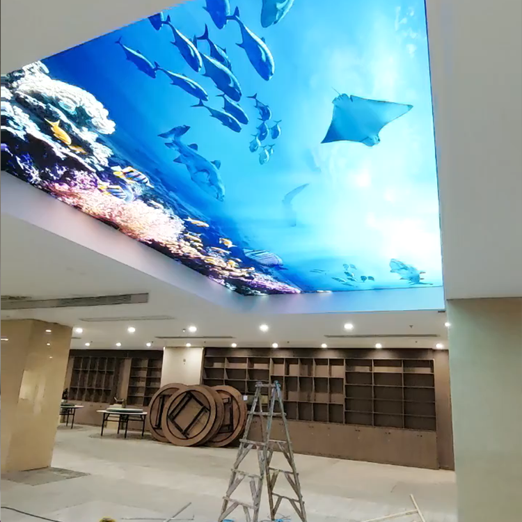 How to choose between edge-lit and back-lit light box for outdoor use?