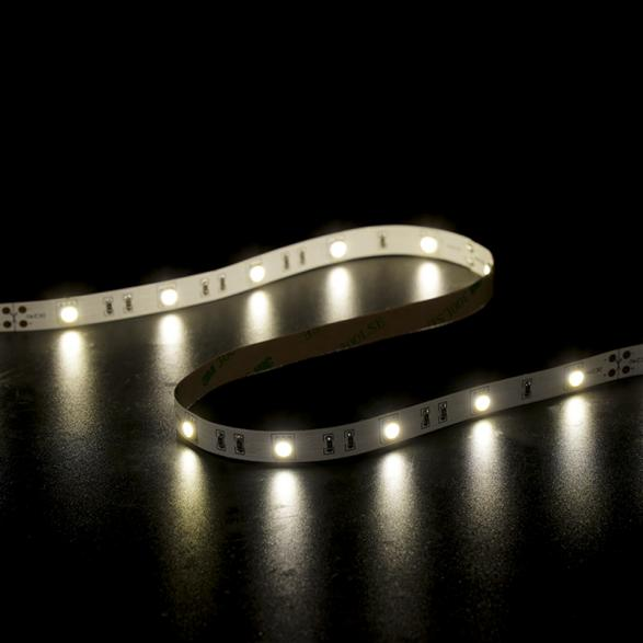 Flex LED strip SMD5050 30leds/m DC24V 10MM single color for wall decoration