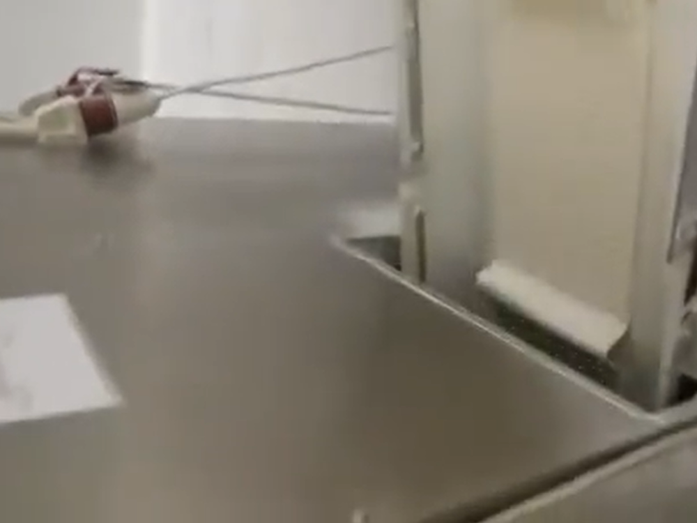 Professional Chewing Gum Making Manufacturing Machine Whole Plant