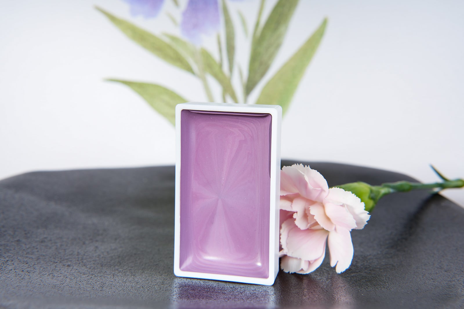 Poezie Open Wooden Case Exhibiting 12 High Capacity Traditional Solid Watercolor Pans