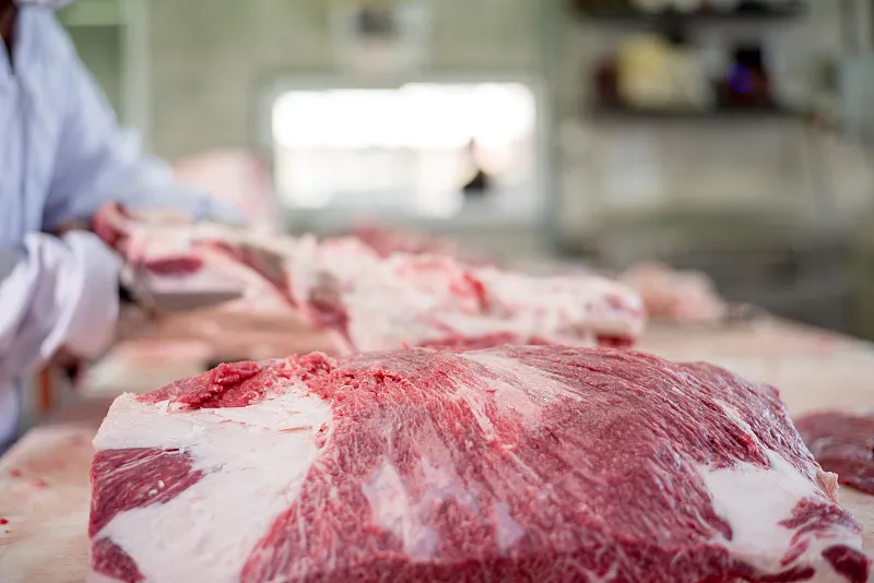 Macchinari per il Taglio della Carne ad Alta Resistenza per Applicazioni di Macelleria