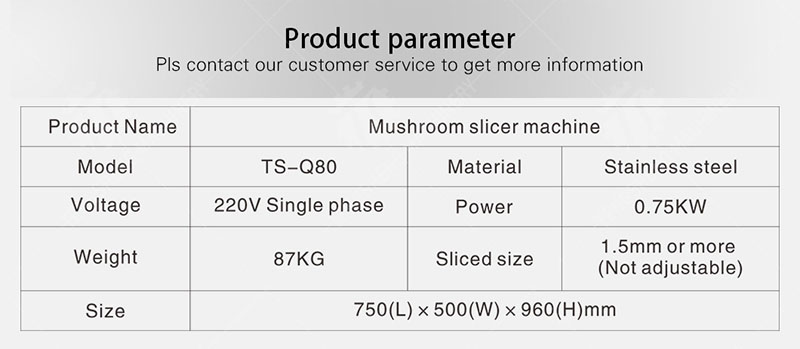 TS-Q80-Details-page-01.jpg