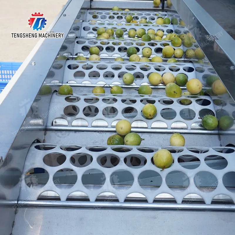 Come funziona una macchina per la selezione della frutta?