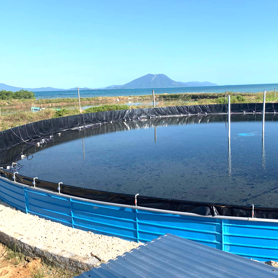 Điều gì khiến bể geomembrane trở thành lựa chọn hàng đầu cho các giải pháp chứa đựng?