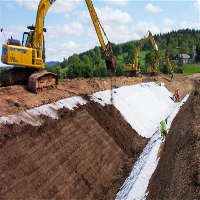 Vật liệu địa kỹ thuật hỗ trợ các giải pháp quản lý dốc bền vững như thế nào