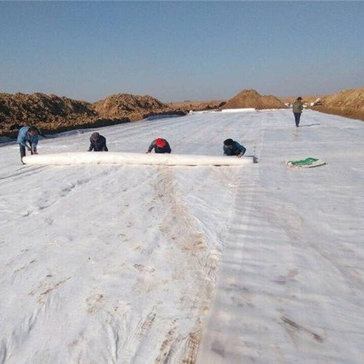 What can I use instead of geotextile