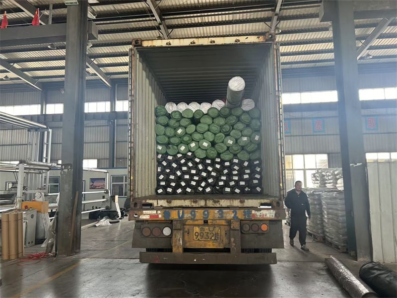 HDPE Aquaculture Geomembrane Shipped to Philippines Fish Pond Project