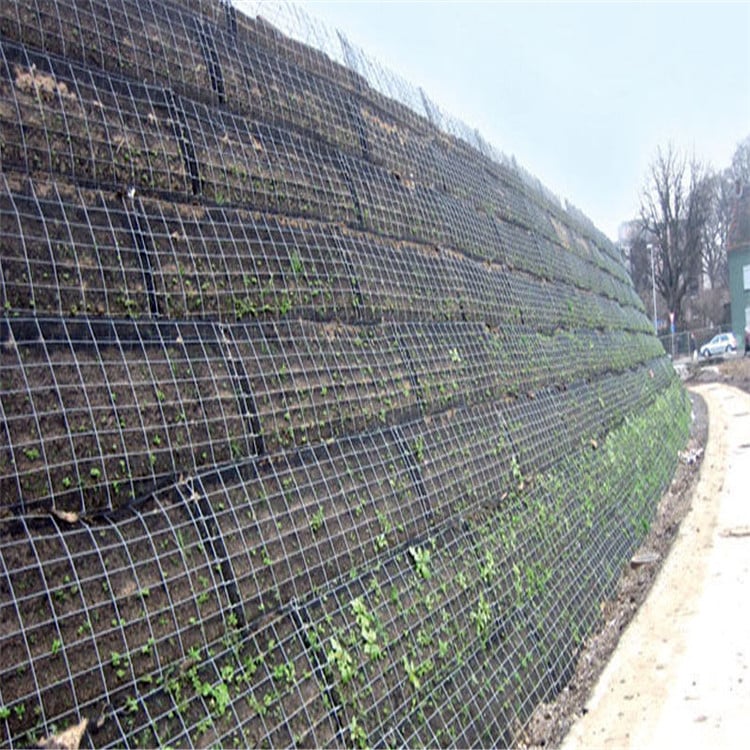 Ano ang Mga Pangunahing Aplikasyon ng mga Pader na May Suporta ng Geogrid?