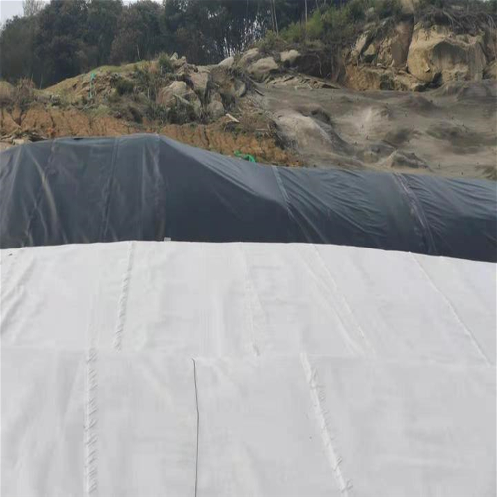 Où trouver des fournisseurs fiables pour des commandes en gros de géotextile en PET ?