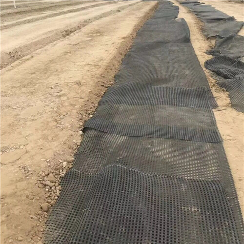 Problèmes courants d’utilisation de la grille de sol en géogrille et comment les résoudre