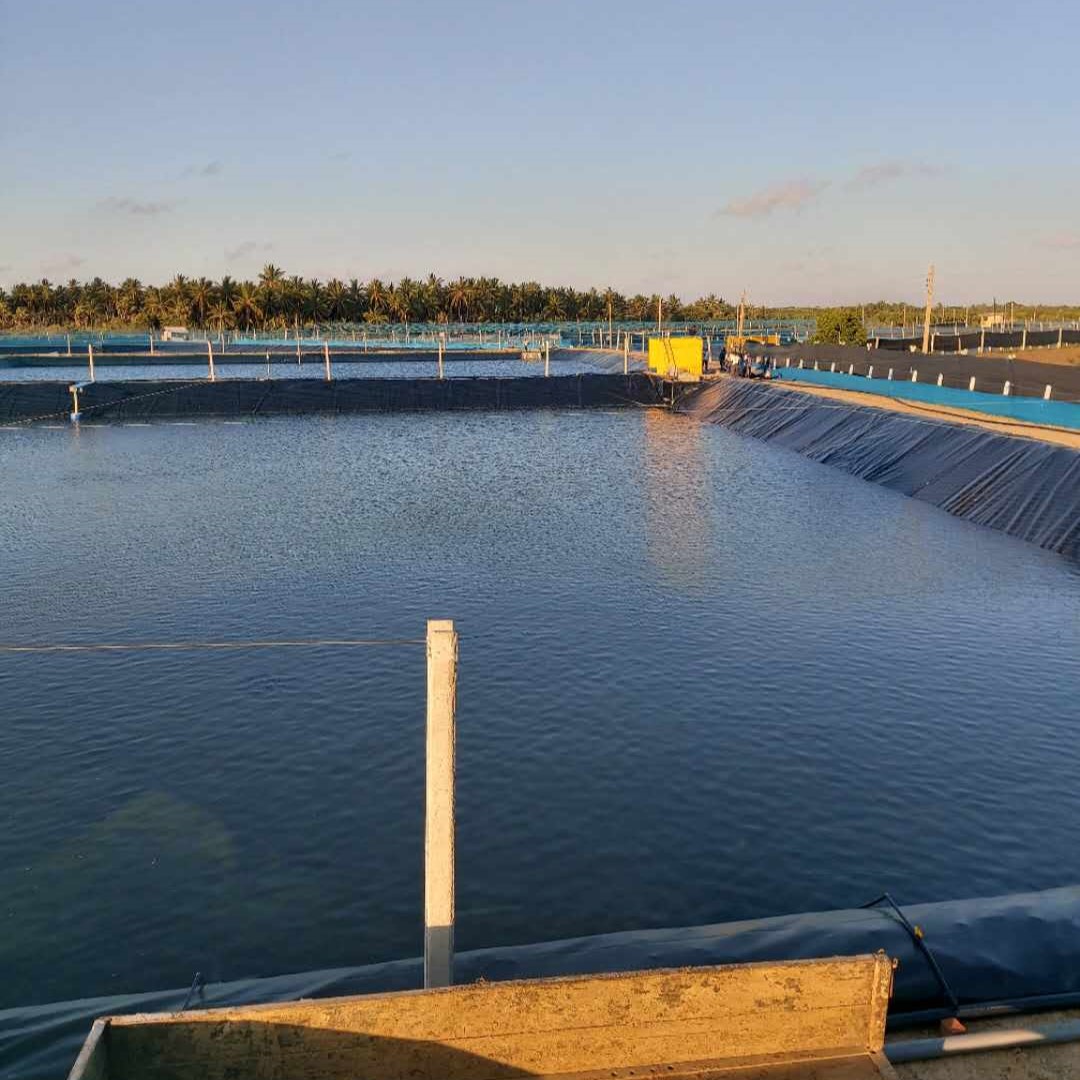 防水池用ライナーの一般的な使用上の問題点とその回避方法