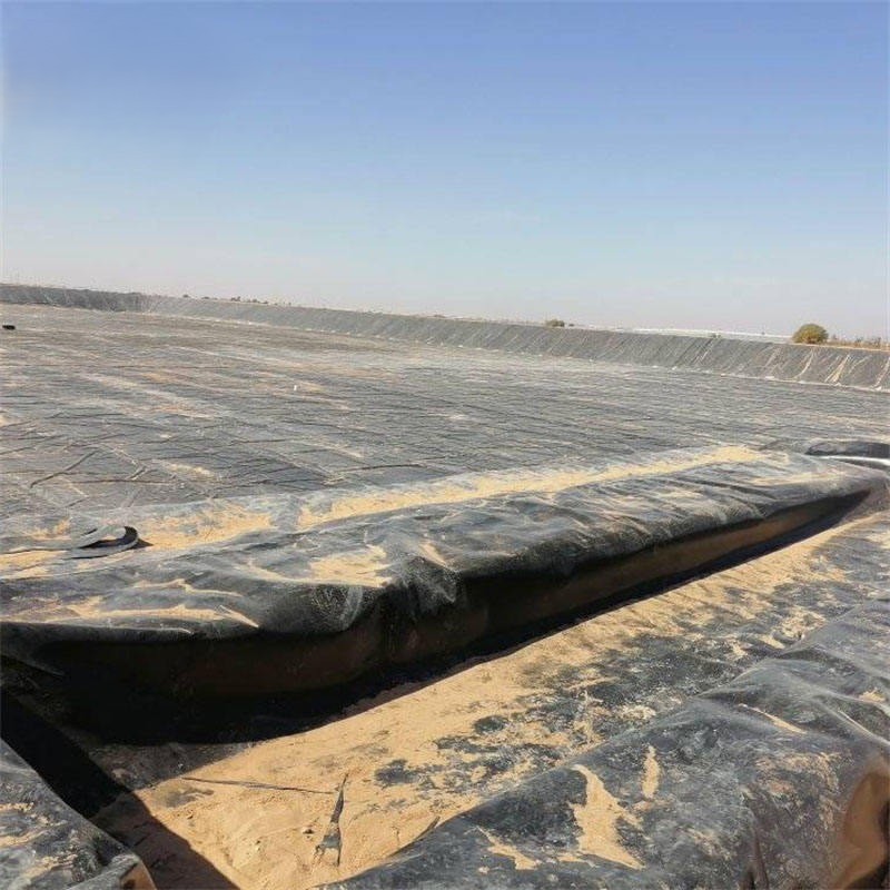 စျေးနောက်ကုန်သော စျေးနောက်ကုန်ဖြင့် အရည်အသွေးမြင့် HDPE ဂီယိုမက်ဘရေးန်ကို မည်သည့်နေရာတွင် ရှာဖွေနိုင်ပါသနည်း။