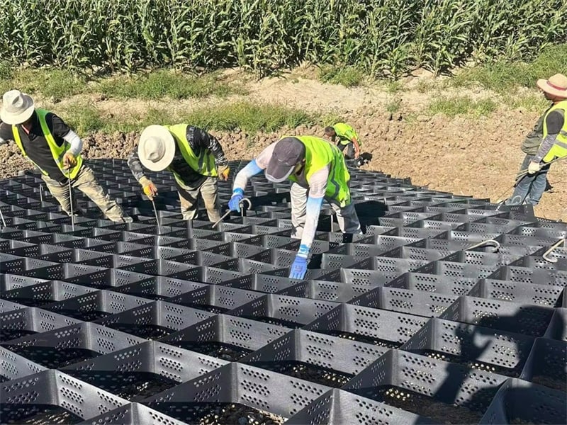 Shandong Jinruixiang Upgraded HDPE Geocell Released | 3D Honeycomb Grid for Road Base & Slope Erosion ControlPublish 