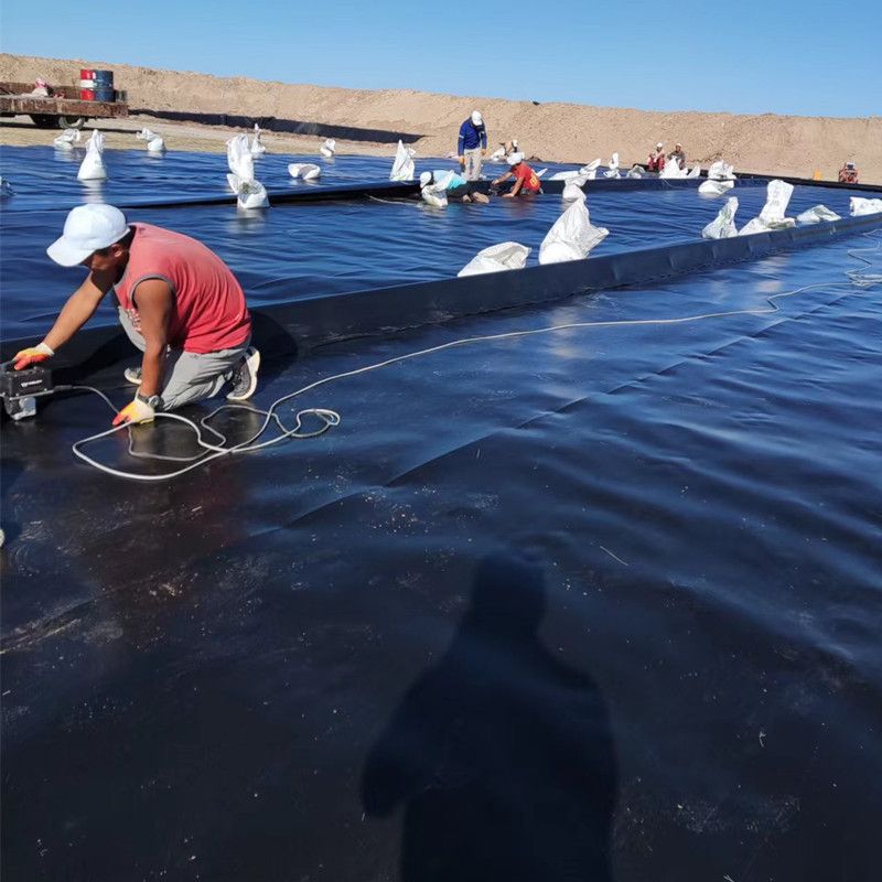 会社