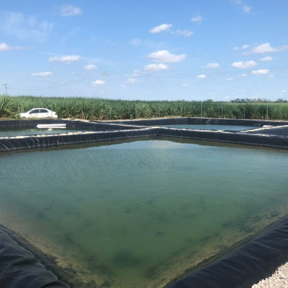 高密度ポリエチレン池用ライナーが、よくある池の使用上の問題を解決する方法