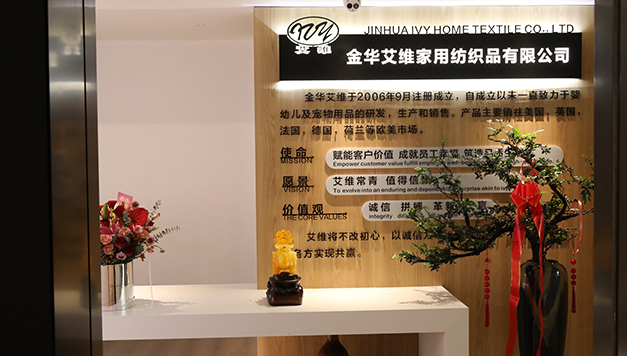 jinhua Ivy