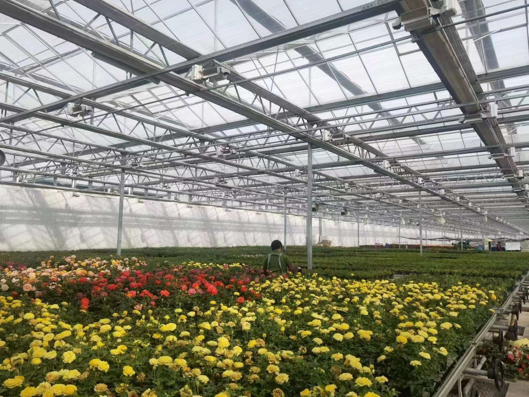 Polycarbonate Greenhouse in Urban Rooftop Gardening
