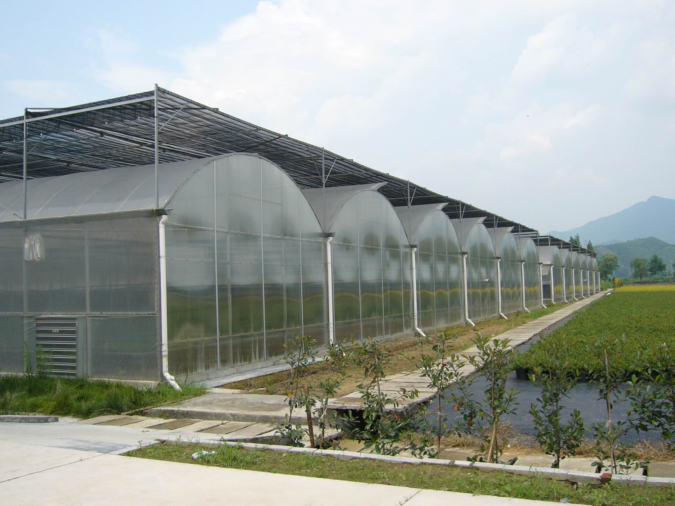 Polycarbonate Sheet Industry Embraces a New Development Boom