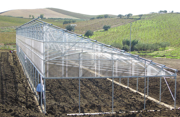  PC Hollow Sheet Market Booming, Modern Greenhouse Upgrade Speeds Up