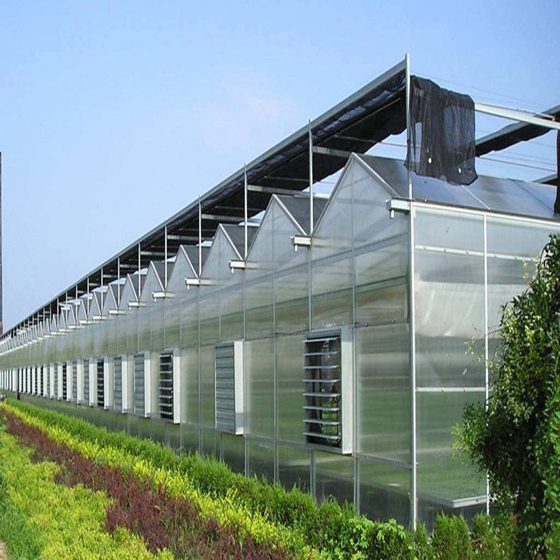 Expanding Application Scenarios of Polycarbonate Sheets Empower Industrial Upgrading in Multiple Fields