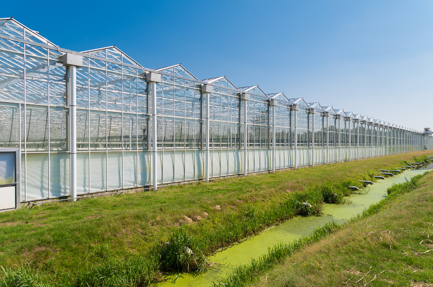 PC Sheet Greenhouses: More Practical Than You Think