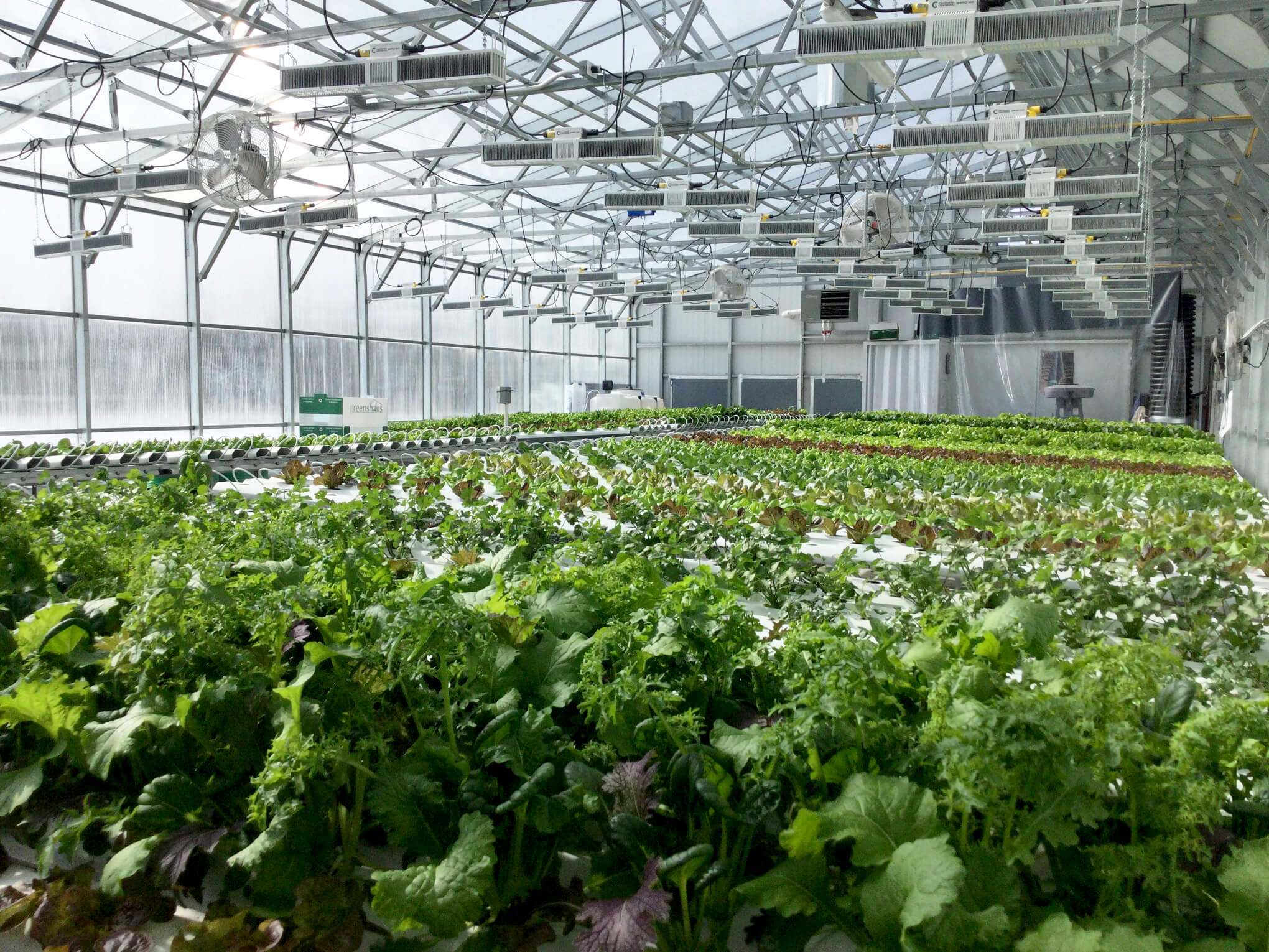 Smart Greenhouse Agriculture Flourishes
