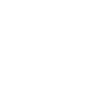 Expert Service