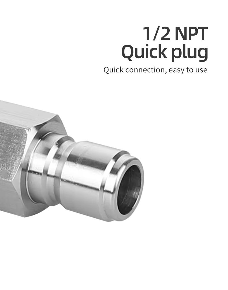 SPS 1/2 Inch NPT Quick Plug Female Stainless Steel Fitting Quick Couple Pressure Washer Adapter Quick Connector supplier