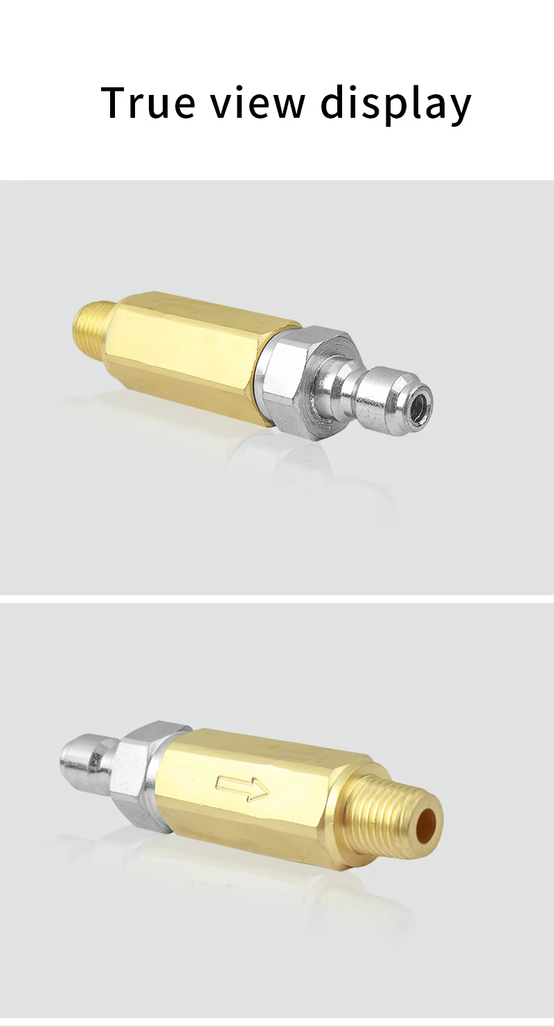 SPS 4500 PSI Brass and Stainless Steel Fitting High Pressure Spray Filter Nozzle for Car Washer Gun factory