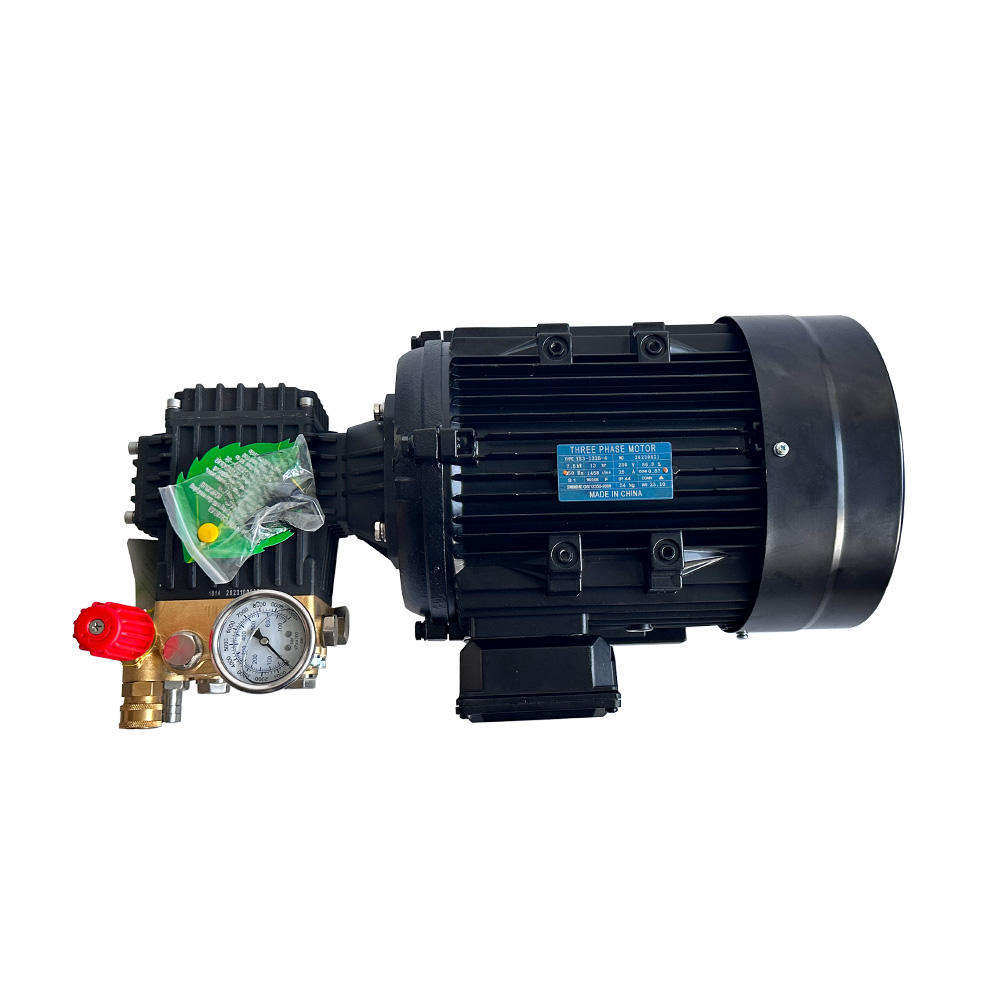 7.5KW 250Bar 3600PSI High Pressure Brass Triplex Plunger Washer Pump With Electrical Motor High Pressure Car Washer Machine