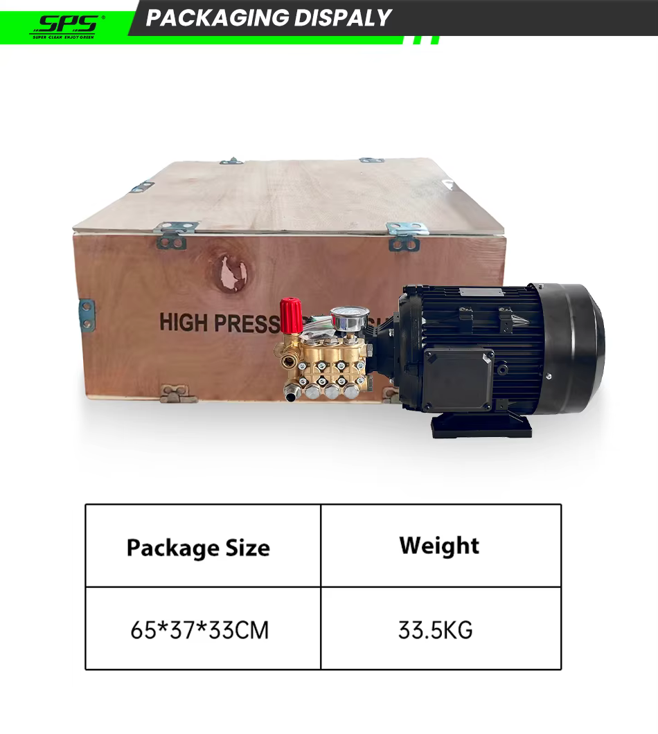 7.5KW 250Bar 3600PSI High Pressure Brass Triplex Plunger Washer Pump With Electrical Motor High Pressure Car Washer Machine factory