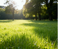 image(f4d5cbe0f9).png