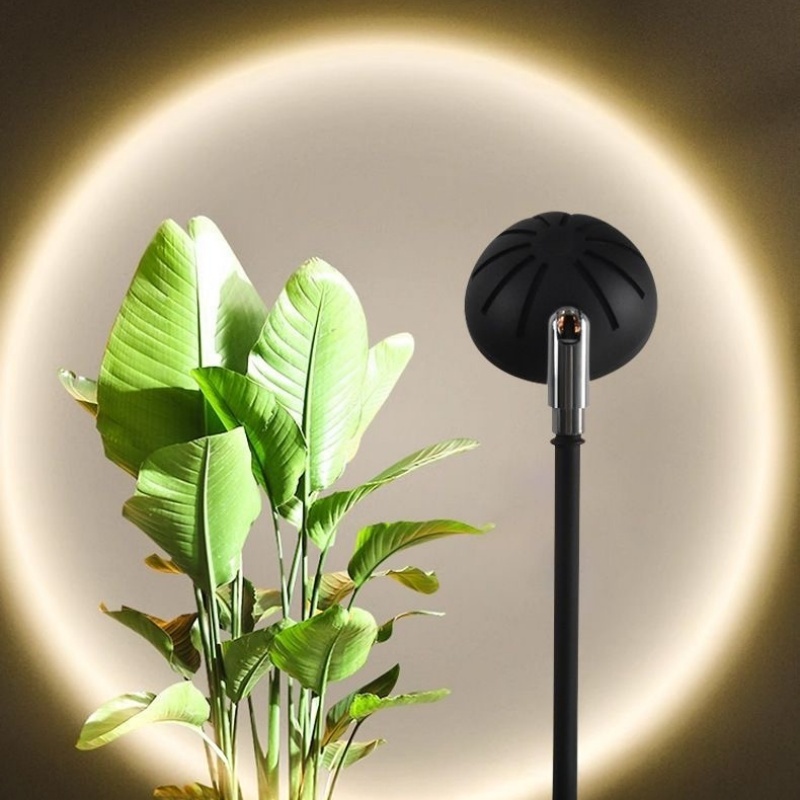 360albumviewer_imgproc_352410781.png