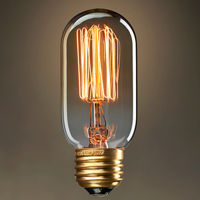 T45 Squirrel Cage Filament Vintage Edison Bulb for Indoor Lighting