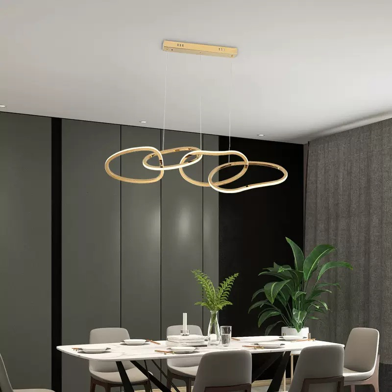 Minimalist Modern Irregular Ring Stainless Steel LED Pendant Light for Dining Room Living Room