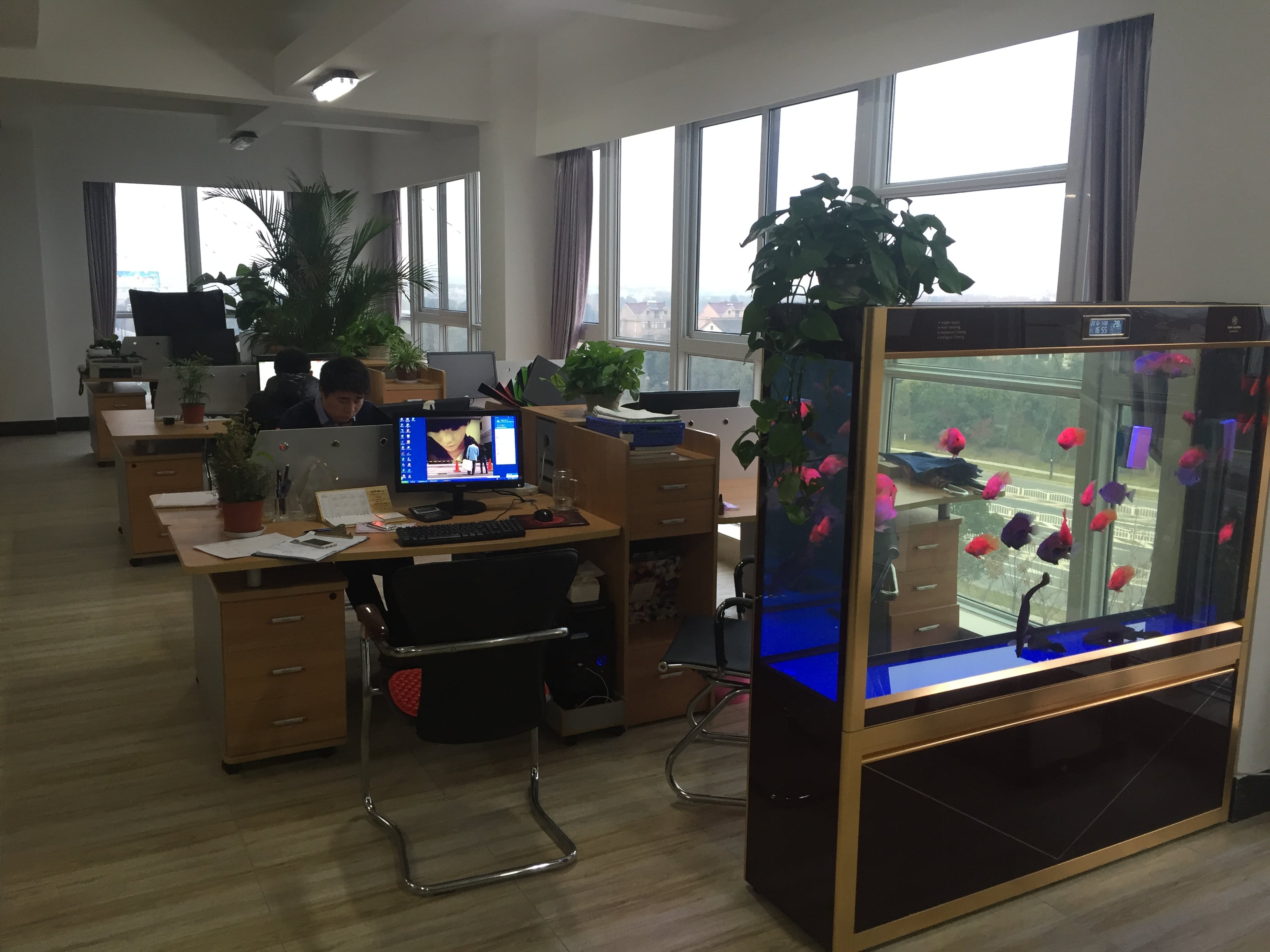 Haining Tonghua Lighting Co., Ltd