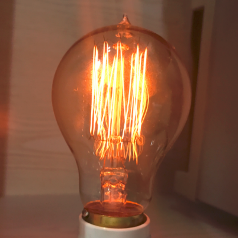 A19 Squirrel Cage Filament Edison Bulb for Lighting