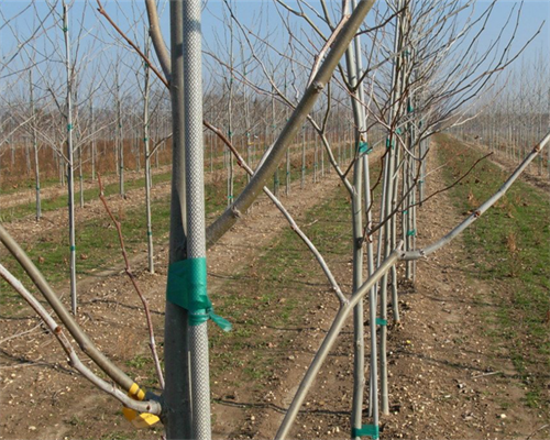 Varillas de Fibra de Vidrio de Alto Rendimiento: Versatilidad en la Ingeniería y la Construcción Moderna