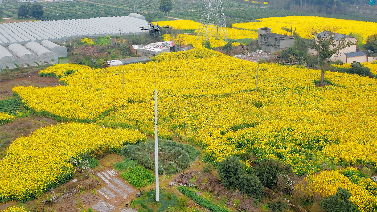 The Future of Infrastructure Why Composite and Fiberglass Utility Poles are Dominating the Global Market (2).png