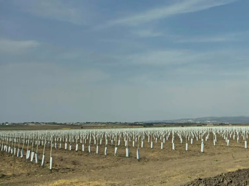CQDJ FRP Tube for Agricultural Support: Why I Stopped Pushing Steel on Growers