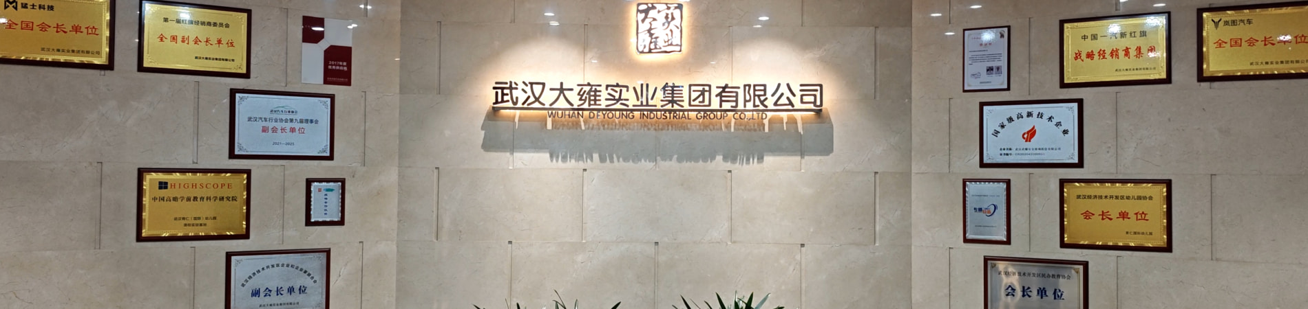 Wuhan DeYoung Industrial Group Co., Ltd.