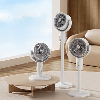 Fan